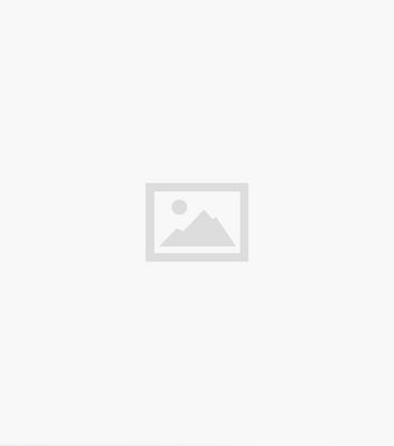 Cameo Rose Green Leopard Print Tiered Smock Dress