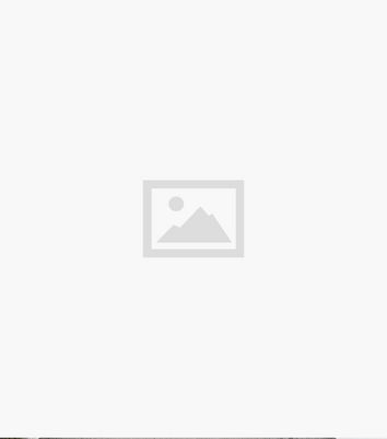 AX Paris Green Animal Print 2-in-1 Midi Wrap Dress