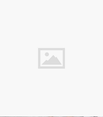 AX Paris Mint Green Animal Print Skater Wrap Dress