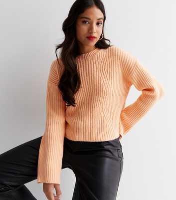Petite Coral Ribbed Knit Crew Neck Long Sleeve Jumper
