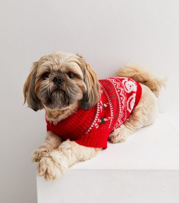 Christmas dog jumper sale