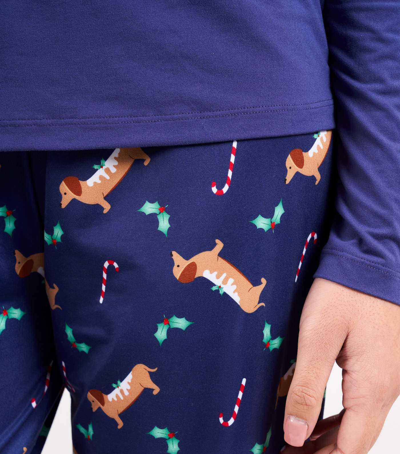 Loungeable Blue Trouser Pyjama Set with Sausage Dog Print Image 4