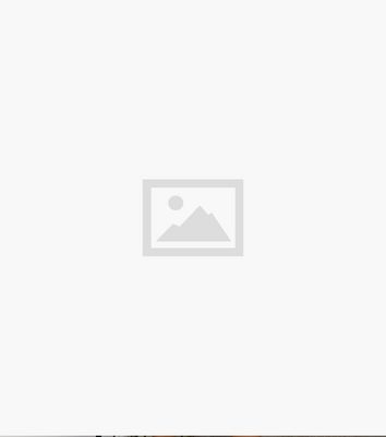 Missfiga Blue Animal Print Long Sleeve Skater Dress