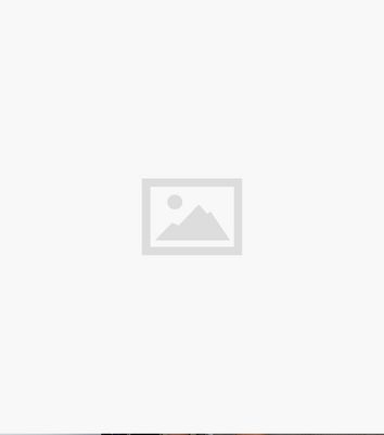 Missfiga Blue Zebra Print 3/4 Sleeve Skater Dress