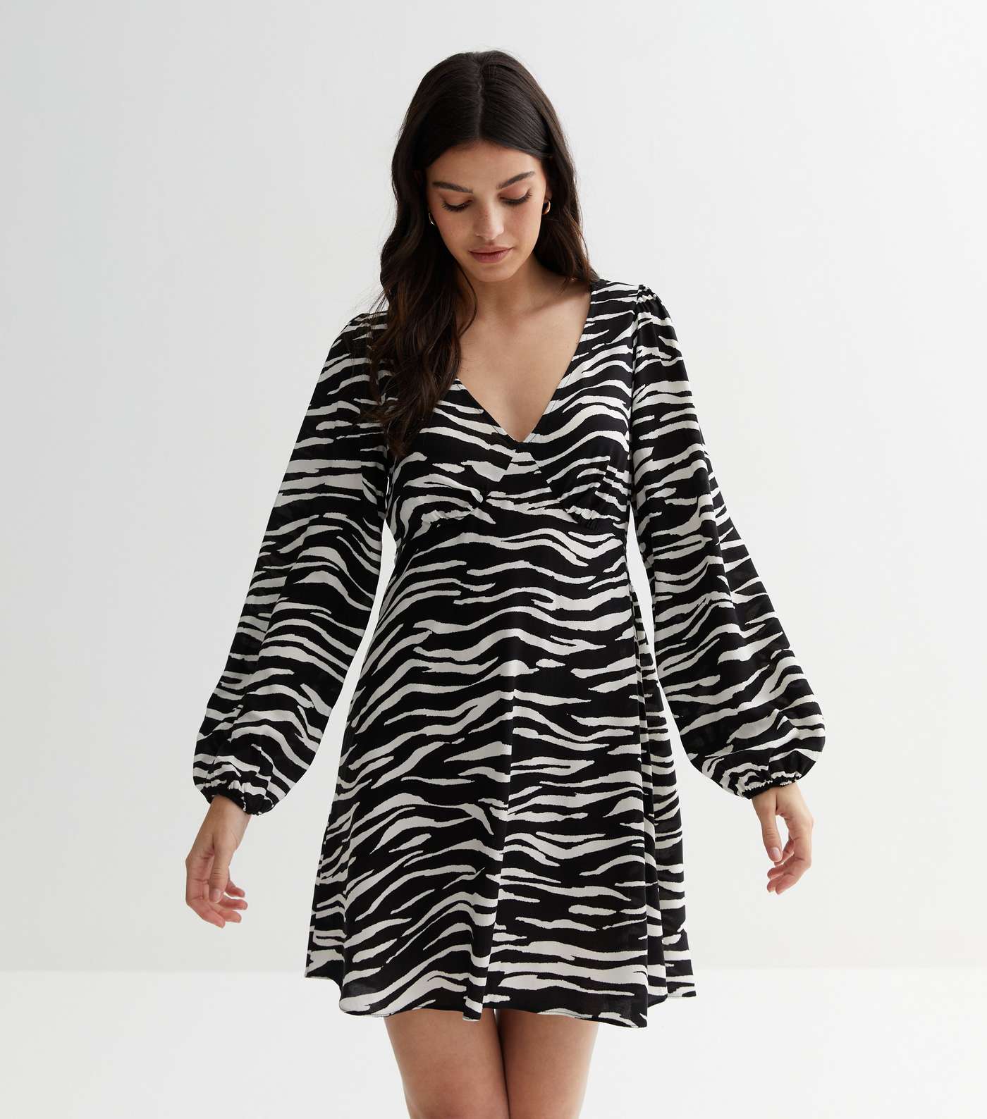 Black Zebra Print V Neck Long Sleeve Mini Dress