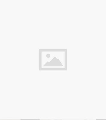 Cameo Rose Brown Mixed Animal Print Long Shirt