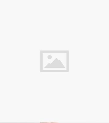 Cameo Rose Brown Mixed Animal Print Mini Tunic Dress