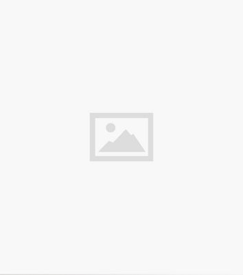 Cameo Rose Brown Leopard Print Tie Waist Midi Skirt