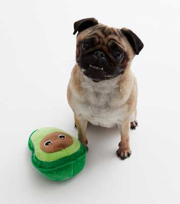 Green Avocado Dog Toy