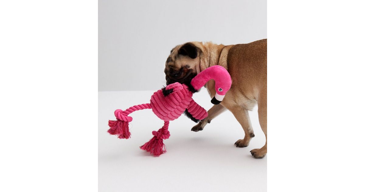 Pink Flamingo Dog Toy New Look