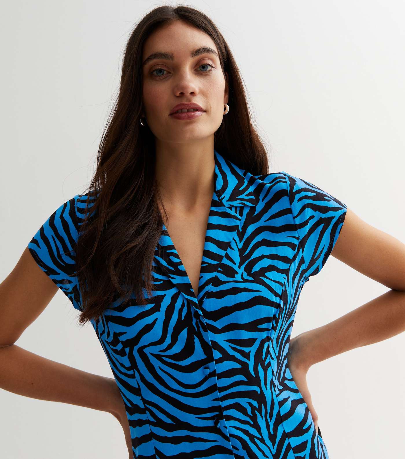 Blue Zebra Print Button Front Midaxi Shirt Dress Image 3