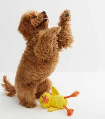 Yellow Duck Rope Dog Toy