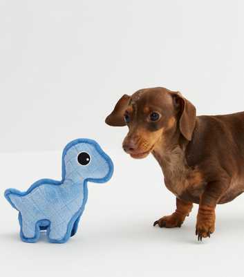 Pale Blue Dinosaur Dog Toy