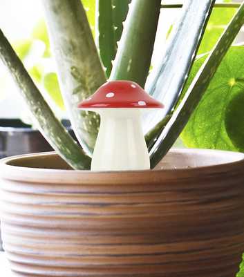 Red Mushroom Planter Water Dispenser
