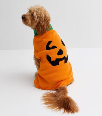 Halloween shop dog jumper