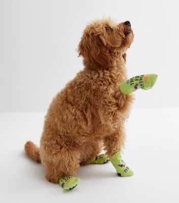 Green Halloween Tricks for Treats Dog Socks