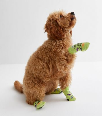 Dog halloween socks best sale