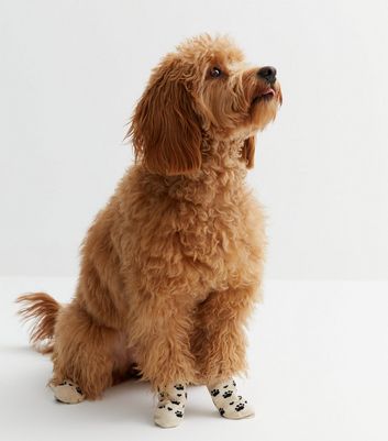 Off White Paw Print Dog Socks New Look