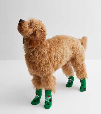 Green Santa Paws Christmas Dog Socks