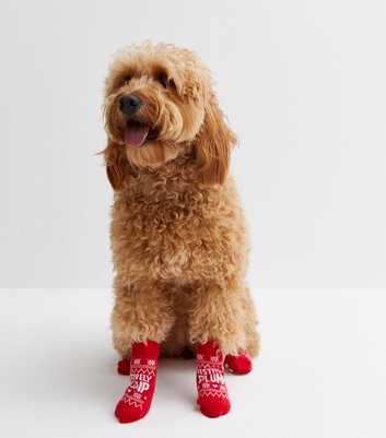 Red Festively Plump Christmas Dog Socks