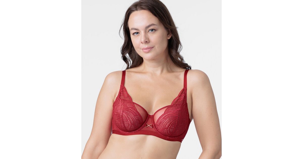 Dorina Curves Red Lace Underwired Bra | New Look