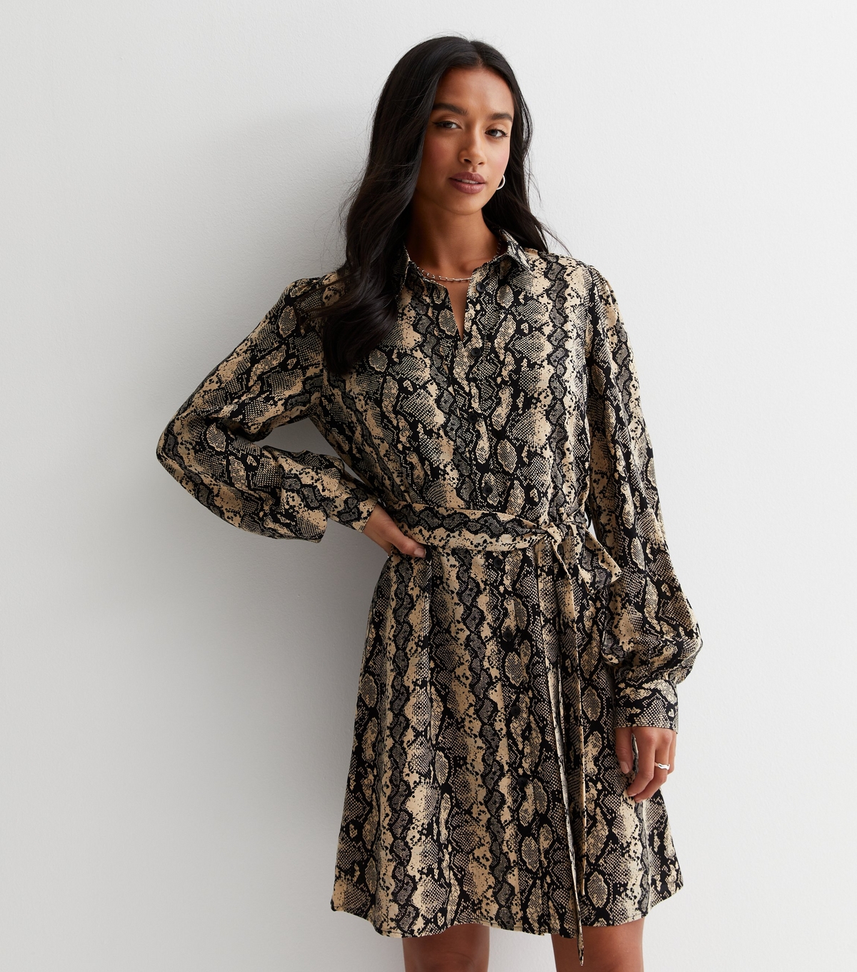 Women's Petite Brown Snake Print Long Sleeve Mini Shirt Dress New Look