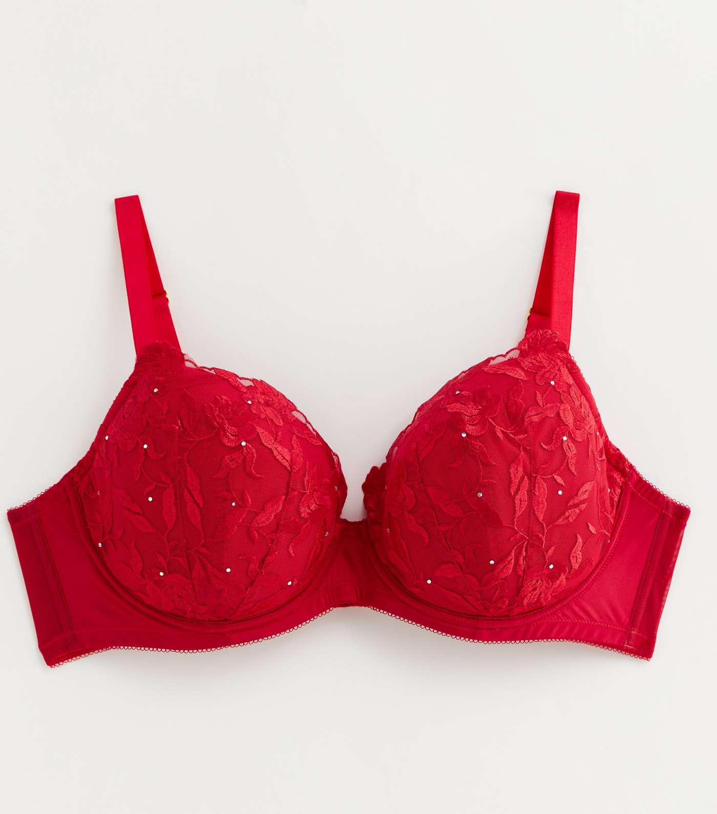 Red Embroidered Lace Underwired +Dd Bra