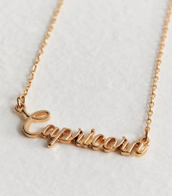 Amazon.com: LA BLINGZ 14K Polished Yellow Gold Capricorn Zodiac Sign Round Pendant  Necklace (16) : Clothing, Shoes & Jewelry