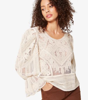 Apricot Stone Embroidered Mesh Top | New Look