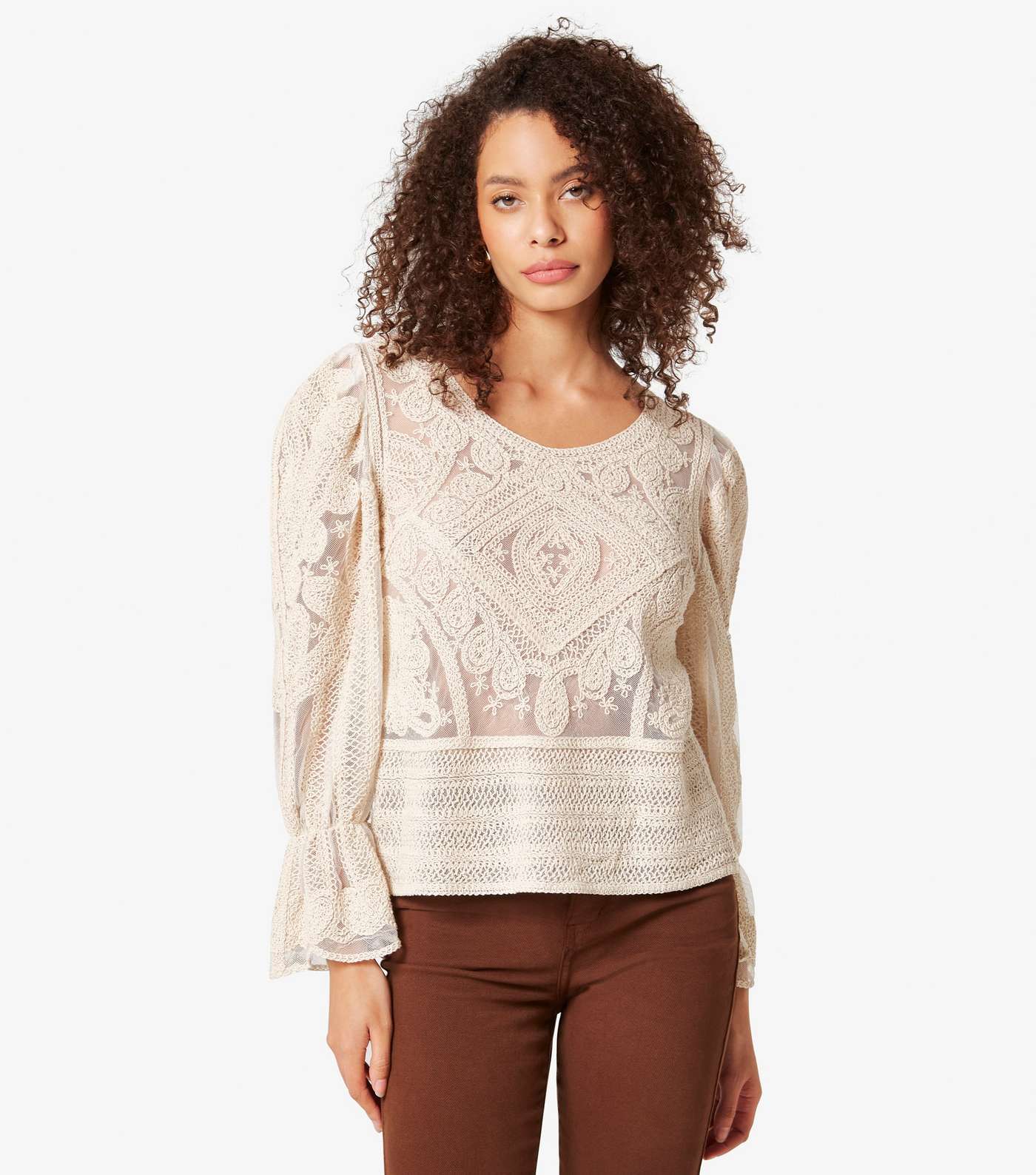 Apricot Stone Embroidered Mesh Top Image 5