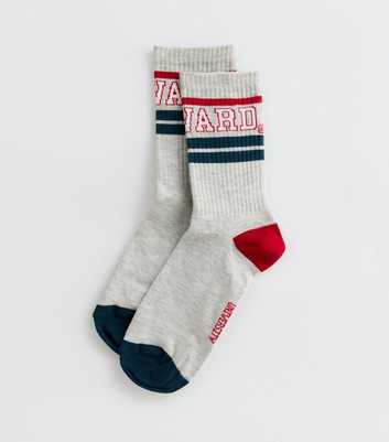 Pale Grey Harvard University Tube Socks