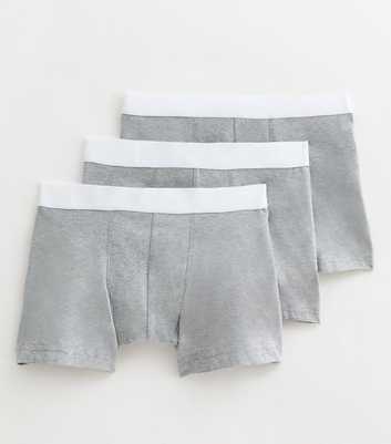 3 Pack of Grey Boxer Trunks 