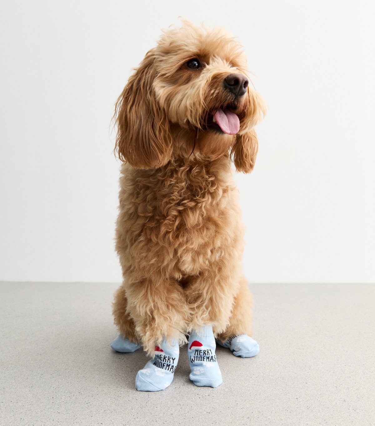 Blue Merry Woofmas Christmas Dog Socks New Look