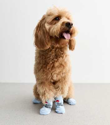 Blue Merry Woofmas Christmas Dog Socks