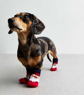 Red Santa Claus Christmas Dog Socks