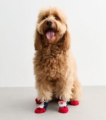 Red Santa Claus Christmas Dog Socks