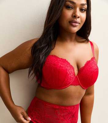 Curves Red Lace Plunge Bra