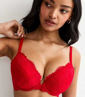 Red DD+ Lace Plunge Bra
