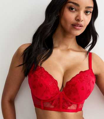 Red DD+ Floral Embroidered Lace Plunge Bra