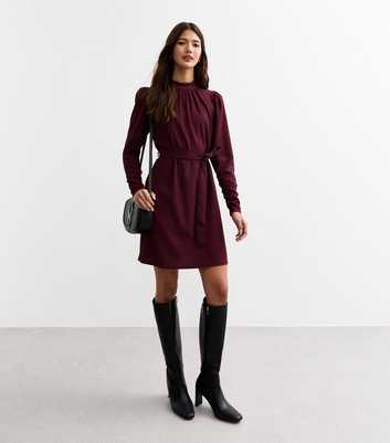 Burgundy Crinkle Textured Long Sleeve Mini Dress