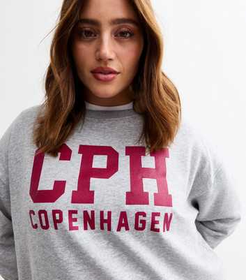 Curves Grey Copenhagen Print Sweatshirt