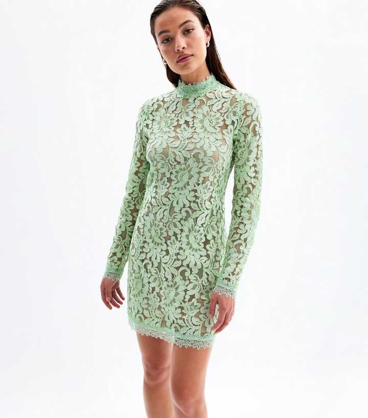 green goddess dressing panera nutrition facts Black&White 1950s Striped Fluorescent Green Lace Dress