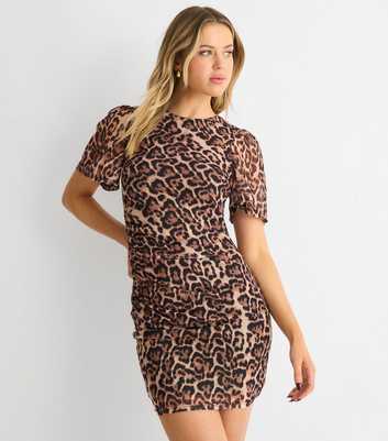 Gini London Brown Leopard Print Stretch Mesh Mini Dress
