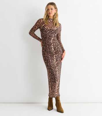 Gini London Light Brown Leopard Print  Mesh Midi Dress