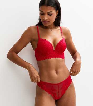 Red Lace Mesh Brazilian Briefs