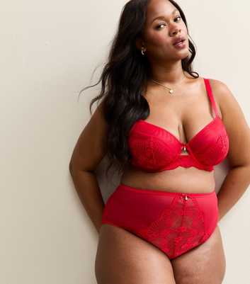 Curves Red Floral Lace Panel Mesh High Waisted Briefs