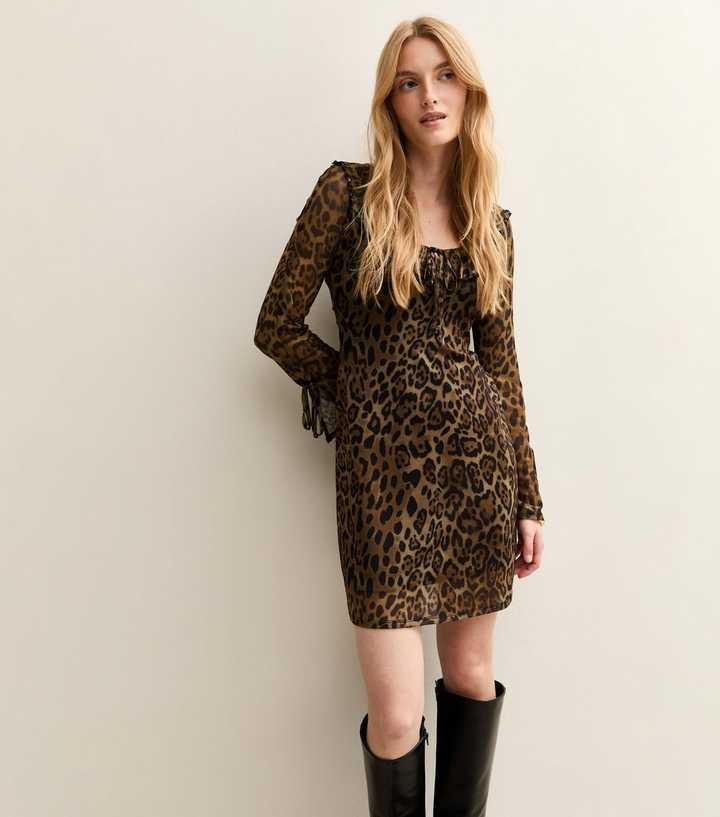 Brown Leopard Print Mesh Scoop Neck Tie Detail Mini Dress