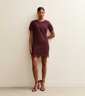 Dark Burgundy Lace T Shirt Mini Dress