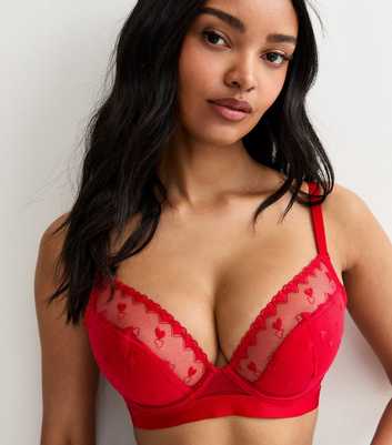 Bright Red DD+ Heart Embroidered Demi Padded Bra