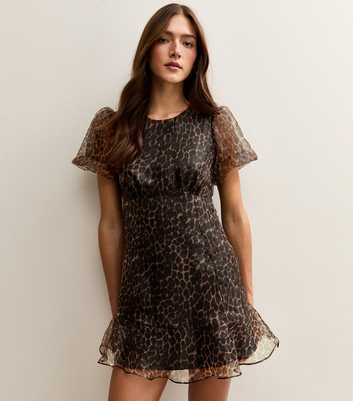 Black Organza Frill Hem Mini Dress